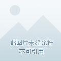 祸水嫡妃很嚣张